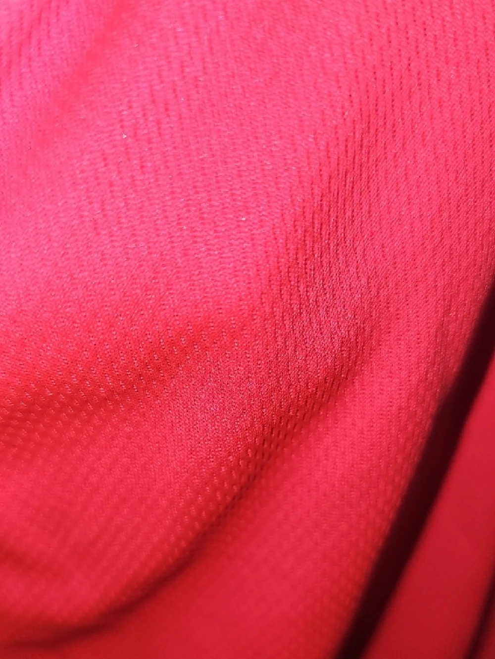 Champion leggings vibrant
